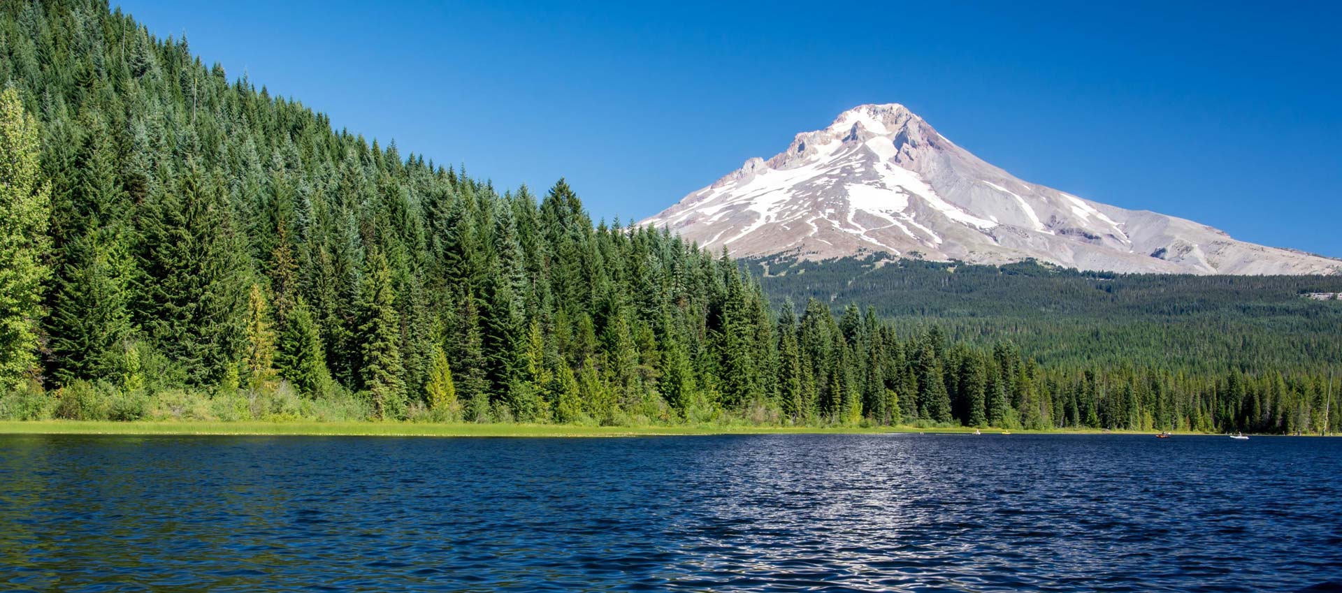 Szenisches Landschaftsfoto vom Mount Hood in Oregon