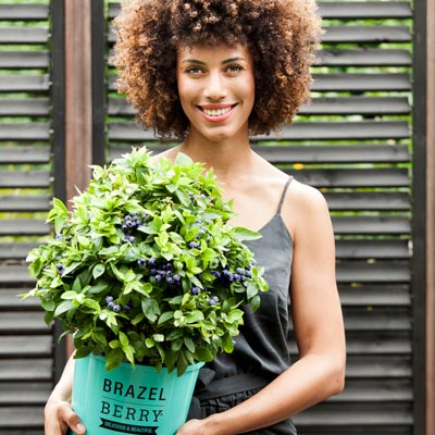 Frau mit BrazelBerry® Pflanze auf dem Arm